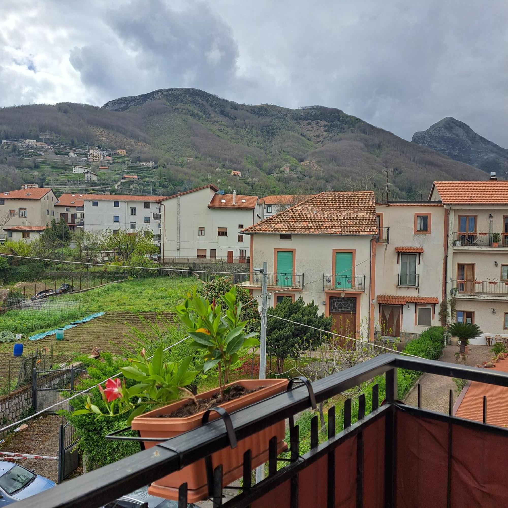 Casa Marilyn Daire Agerola Dış mekan fotoğraf